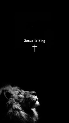 a black and white photo of a lion with the words jesus is king above it