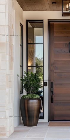 a potted plant sitting in front of a wooden door on the side of a house