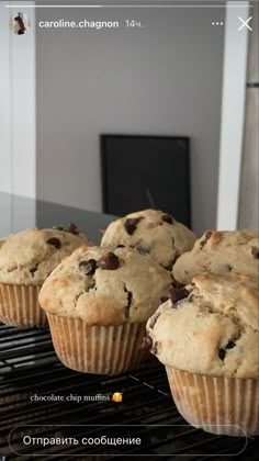 chocolate chip muffins cooling on the rack