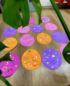 paper circles are arranged on the floor next to plants