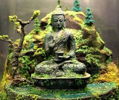 a glass jar filled with green moss and a buddha statue in the middle of it