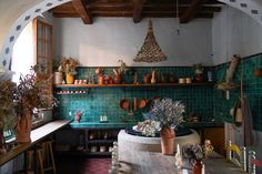 a kitchen filled with lots of potted plants