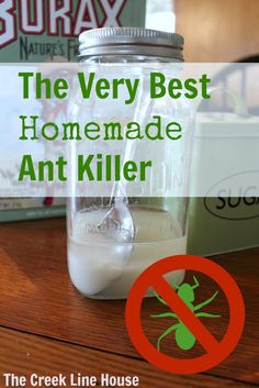 the very best homemade anti - killer is in front of some books on a table