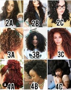 4d Hair Type, 4d Hair, Hair Type Chart, Curly Hair Types, Hair Porosity, Curly Girl Method, Curly Hair Routine