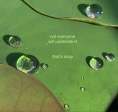 drops of water on a green leaf with a quote about not everyone will understand that's okay