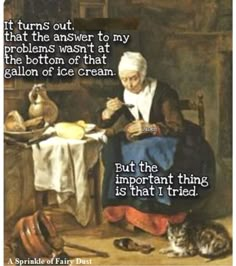 an old woman sitting at a table with her cat next to her and the caption reads, it turns out that the answer to my problems was not at the bottom of that