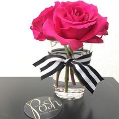 a pink rose in a clear vase with a black and white ribbon