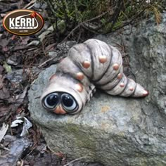 a rock with a snail on it laying on the ground