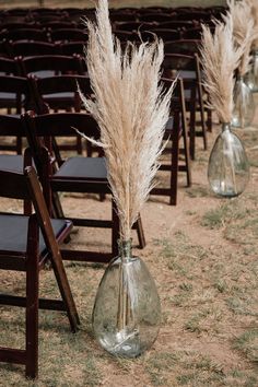 chairs and vases with dried grass in them