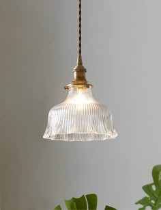 a glass light hanging from a ceiling in front of a potted plant on a table