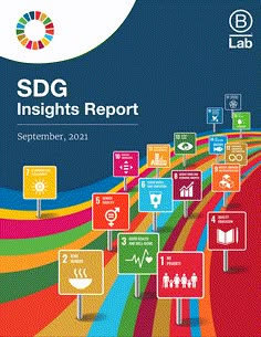 the sdg insights report cover is shown with colorful road signs in front of it