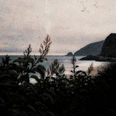 an old photo of the ocean and hills in the distance with trees on either side