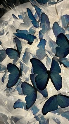 many blue butterflies are flying in the air