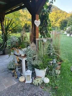 many potted plants are on the ground in front of a gazebo with hearts hanging from it