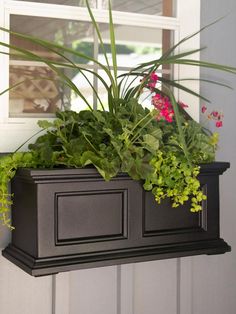 a window box with plants in it hanging from the side of a house's wall