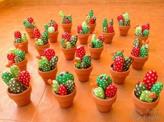 many small potted cactus are arranged in rows on the floor, with polka dot designs