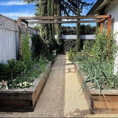 an outdoor garden with lots of plants in it