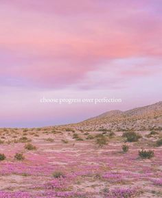 a field full of purple flowers under a pink sky with the words choose progress over perfection