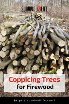 a pile of logs with the words copping trees for firewood