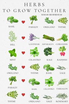 the herbs to grow together are shown in this poster, which includes different types of herbs