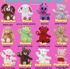 a poster with different types of stuffed animals on it's sides and the words which build a bear are your