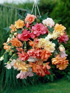 a hanging basket filled with lots of flowers