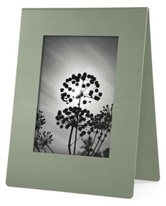 a black and white photo of a flower in front of the sun with a gold frame