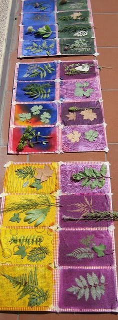 four different colored papers with plants on them sitting on the ground next to each other