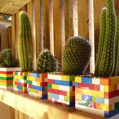 several different types of cactus plants in colorful boxes on a shelf with wood slats