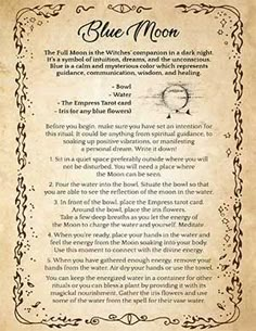 Shadow Witchcraft, Buck Moon Ritual, Witchy Grimoire, Witch Guide, Moon Witchcraft, Full Buck Moon, Buck Moon