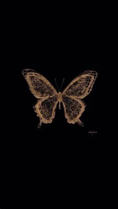 a butterfly that is sitting in the dark