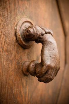 a wooden door with a handle on it and a dog's paw sticking out