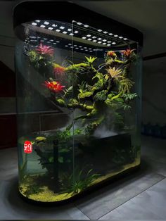 an aquarium filled with plants and water