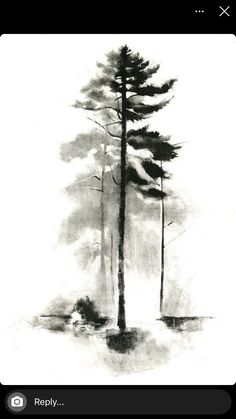 a black and white drawing of trees in the snow with fog coming from behind them