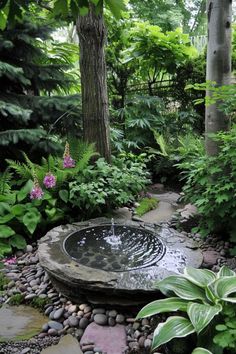 a small pond surrounded by plants and rocks in the middle of a garden with lots of greenery