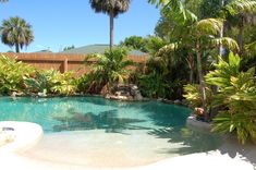 an outdoor pool surrounded by palm trees and other greenery in front of a house