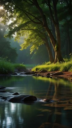 a stream running through a lush green forest filled with lots of trees and grass on top of