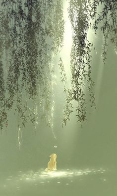 a dog is swimming in the water under some trees and branches with sunlight streaming through them