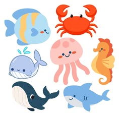 various sea animals are grouped together on a white background