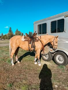 a brown horse standing next to a gray trailer on top of a grass covered field