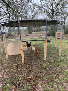 two chickens in a chicken coop on the grass near some trees and an overhang