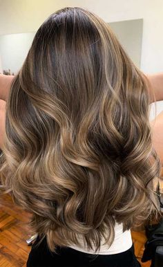 Brown To Blonde Balayage Subtle, Balayage Babylights Brunette, Ashy Auburn Balayage, Balayage Hair Back View, Brown To Balayage Blonde, Hair Bayalage Brown To Blonde, Subtle Balayage Brown Hair, Hair Dye For Light Brown Hair, Dark Brown Hair With Subtle Blonde Highlights