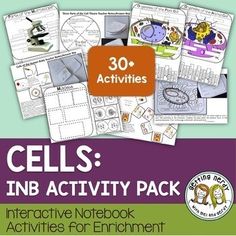 cell's inb activity pack for children