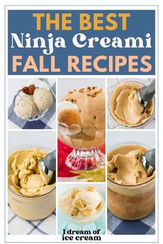 the best ninja creami fall recipes from i dream of ice cream to peanut butter