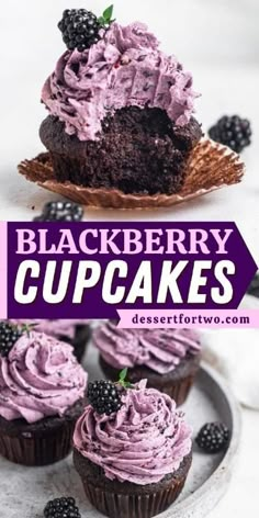 blackberry cupcakes with chocolate frosting and fresh blackberries on the top one