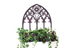 an iron window planter with green plants growing on it's sides and hanging from the side