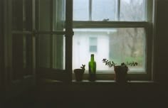 a window sill with two plants and a bottle on it