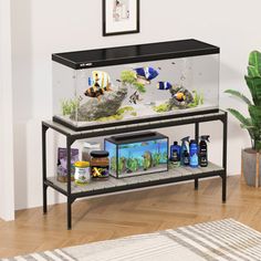 a fish tank sitting on top of a shelf next to a rug and potted plant