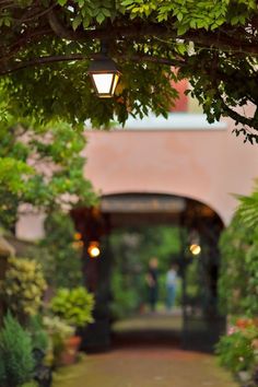 an archway leading into a garden with lots of greenery and lights hanging from the ceiling