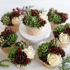 cupcakes decorated with flowers and pine cones